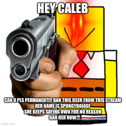 Ban Her /srs | HEY CALEB; CAN U PLS PERMANENTLY BAN THIS USER FROM THIS STREAM

HER NAME IS SPONGYBOI4GF

SHE KEEPS SAYING UWU FOR NO REASON
BAN HER NOW | image tagged in roblox | made w/ Imgflip meme maker