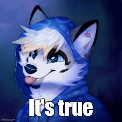 Furry Blep! | It's true | image tagged in furry blep | made w/ Imgflip meme maker