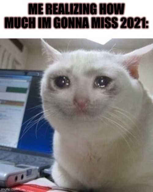 lost of good or bad memories | ME REALIZING HOW MUCH IM GONNA MISS 2021: | image tagged in crying cat | made w/ Imgflip meme maker