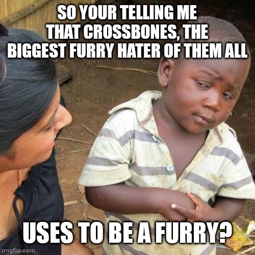 *used | SO YOUR TELLING ME THAT CROSSBONES, THE BIGGEST FURRY HATER OF THEM ALL; USES TO BE A FURRY? | made w/ Imgflip meme maker