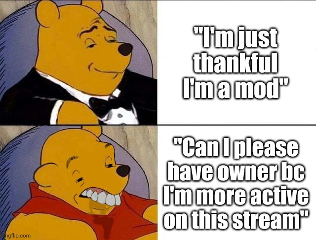 Stop | "I'm just thankful I'm a mod"; "Can I please have owner bc I'm more active on this stream" | image tagged in tuxedo winnie the pooh grossed reverse | made w/ Imgflip meme maker