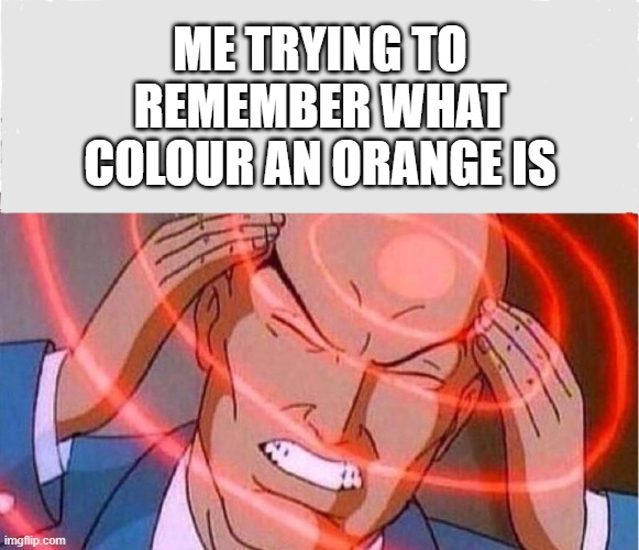 Me trying to remember | ME TRYING TO REMEMBER WHAT COLOUR AN ORANGE IS | image tagged in me trying to remember | made w/ Imgflip meme maker