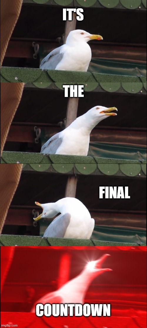 *Epic musical break* | IT'S; THE; FINAL; COUNTDOWN | image tagged in memes,inhaling seagull | made w/ Imgflip meme maker