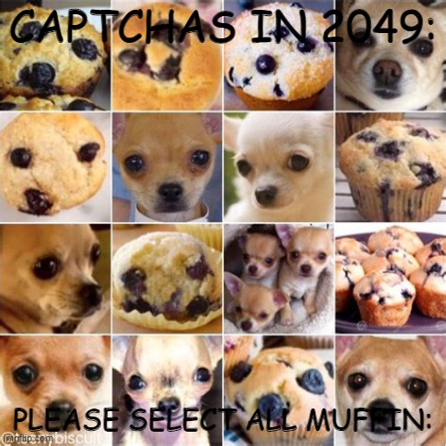 captchas of the future | CAPTCHAS IN 2049:; PLEASE SELECT ALL MUFFIN: | image tagged in funny chihuahua | made w/ Imgflip meme maker