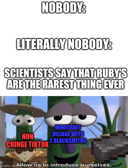 The true rarest things today | NOBODY:; LITERALLY NOBODY:; SCIENTISTS SAY THAT RUBY'S ARE THE RAREST THING EVER; MINECRAFT:; MINECRAFT VILLAGE WITH 2 BLACKSMITHS; NON CRINGE TIKTOK | image tagged in blank white template,veggietales 'allow us to introduce ourselfs',rare | made w/ Imgflip meme maker