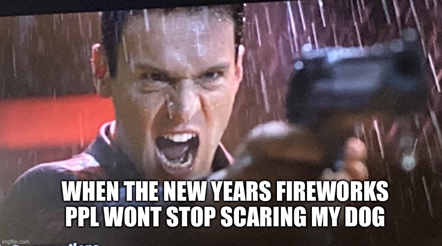 Angry Matrix Gun | WHEN THE NEW YEARS FIREWORKS PPL WONT STOP SCARING MY DOG | image tagged in angry matrix gun | made w/ Imgflip meme maker