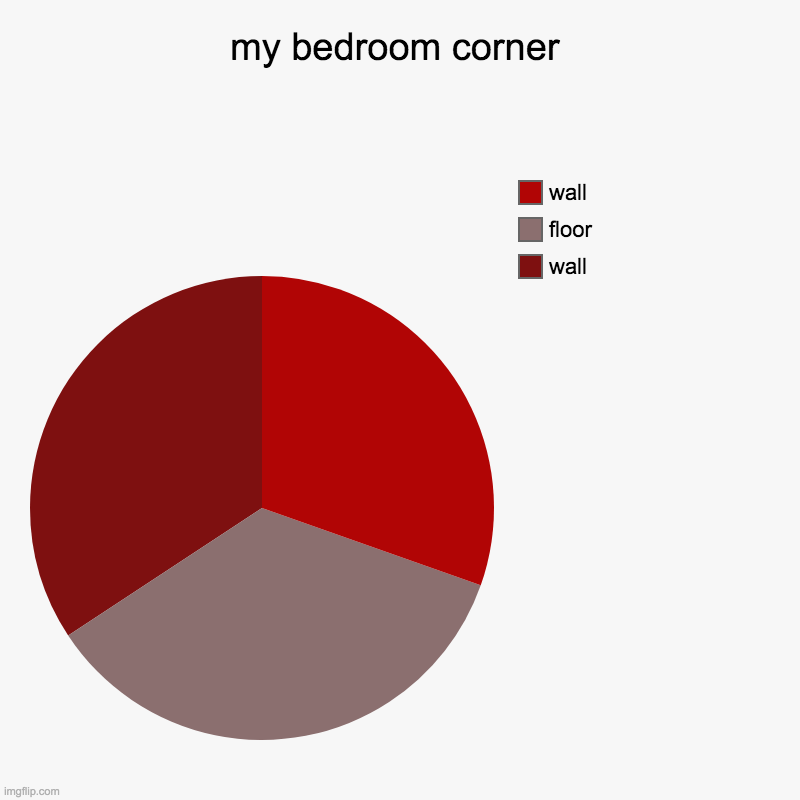 my corner | my bedroom corner | wall, floor, wall | image tagged in charts,pie charts | made w/ Imgflip chart maker