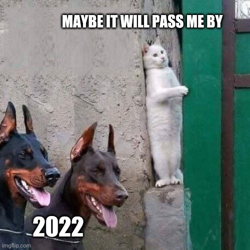 Happy New Year Cat |  MAYBE IT WILL PASS ME BY; 2022 | image tagged in cat hiding from dogs,happy new year,cats,dogs,2022,funny memes | made w/ Imgflip meme maker