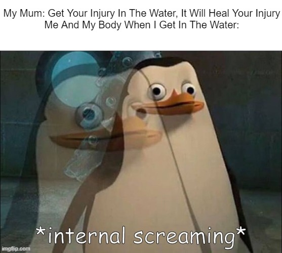 Private Internal Screaming | My Mum: Get Your Injury In The Water, It Will Heal Your Injury

Me And My Body When I Get In The Water: | image tagged in private internal screaming | made w/ Imgflip meme maker