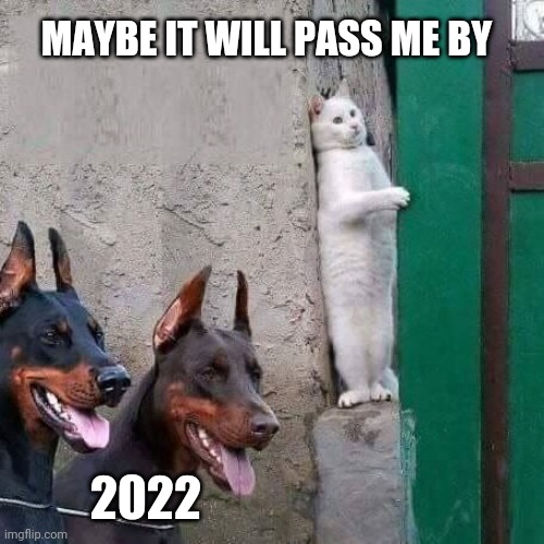 Happy New Year Dogs | MAYBE IT WILL PASS ME BY; 2022 | image tagged in cat hiding from dogs,happy new year,2022,dogs,cats,funny memes | made w/ Imgflip meme maker