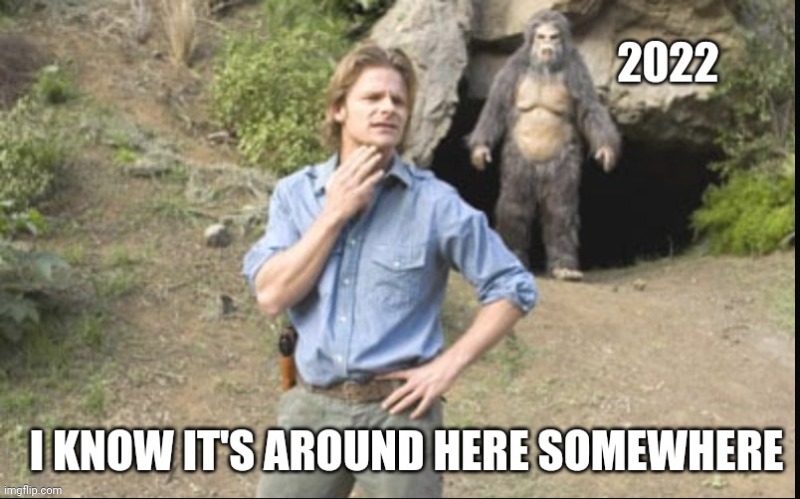 Happy New Year Bigfoot | image tagged in bigfoot,happy new year,2022,funny memes,fun,lost in the woods | made w/ Imgflip meme maker