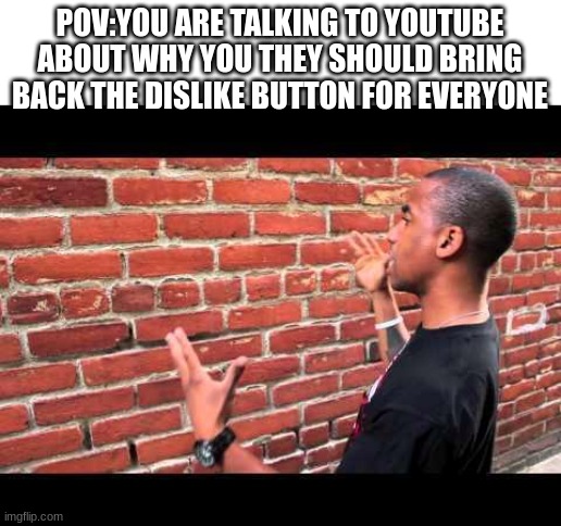 Brick wall guy | POV:YOU ARE TALKING TO YOUTUBE ABOUT WHY YOU THEY SHOULD BRING BACK THE DISLIKE BUTTON FOR EVERYONE | image tagged in brick wall guy | made w/ Imgflip meme maker