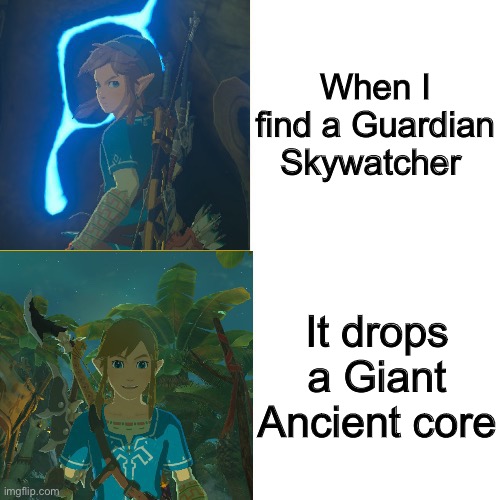 Guardian Skywatchers are flying turds |  When I find a Guardian Skywatcher; It drops a Giant Ancient core | image tagged in link hotline bling | made w/ Imgflip meme maker