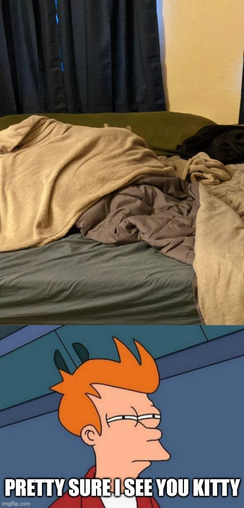 YOU CAN'T HIDE KITTY | PRETTY SURE I SEE YOU KITTY | image tagged in memes,futurama fry,cats,funny cats | made w/ Imgflip meme maker