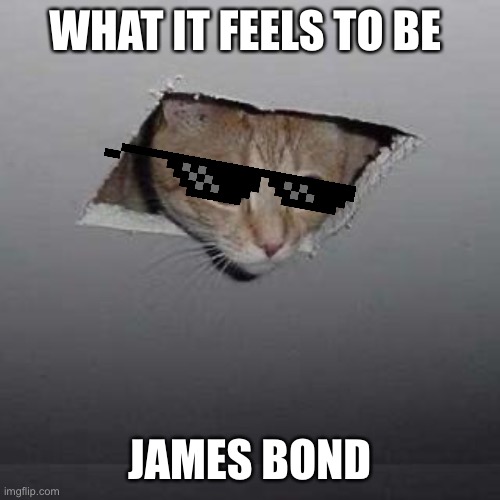 Ceiling Cat | WHAT IT FEELS TO BE; JAMES BOND | image tagged in memes,ceiling cat | made w/ Imgflip meme maker