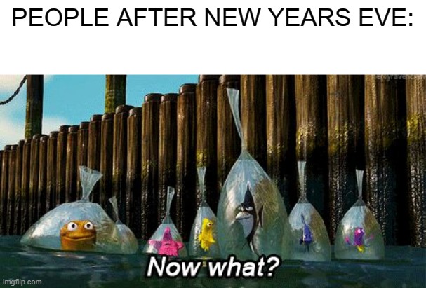 lol |  PEOPLE AFTER NEW YEARS EVE: | image tagged in now what,after new years eve,new year,almost 2022 | made w/ Imgflip meme maker