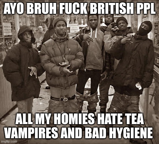 fuck british people | AYO BRUH FUCK BRITISH PPL; ALL MY HOMIES HATE TEA VAMPIRES AND BAD HYGIENE | made w/ Imgflip meme maker