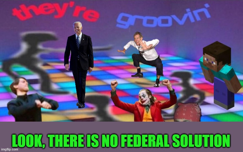 Dance party | LOOK, THERE IS NO FEDERAL SOLUTION | image tagged in dance party | made w/ Imgflip meme maker
