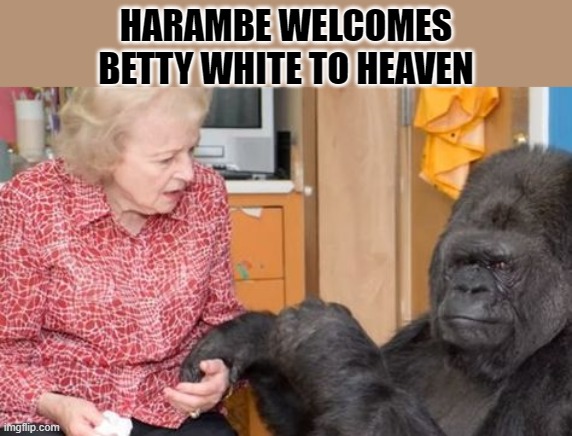  HARAMBE WELCOMES BETTY WHITE TO HEAVEN | image tagged in betty white,harambe | made w/ Imgflip meme maker