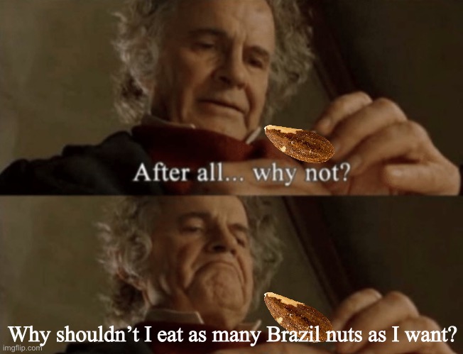 After all.. why not? |  Why shouldn’t I eat as many Brazil nuts as I want? | image tagged in after all why not | made w/ Imgflip meme maker