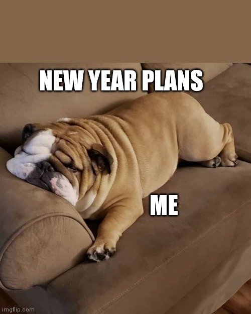 NEW YEAR PLANS; ME | made w/ Imgflip meme maker