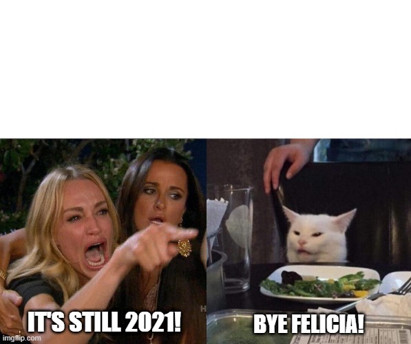 Good riddance 2021 | BYE FELICIA! IT'S STILL 2021! | image tagged in two woman yelling at a cat | made w/ Imgflip meme maker
