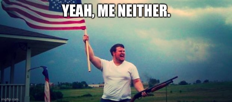 'Merica | YEAH, ME NEITHER. | image tagged in 'merica | made w/ Imgflip meme maker