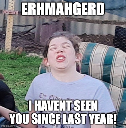 Erhmahgerd | ERHMAHGERD; I HAVENT SEEN YOU SINCE LAST YEAR! | image tagged in new years | made w/ Imgflip meme maker