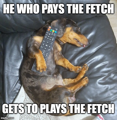 fetch | HE WHO PAYS THE FETCH; GETS TO PLAYS THE FETCH | image tagged in fetch,remote control | made w/ Imgflip meme maker