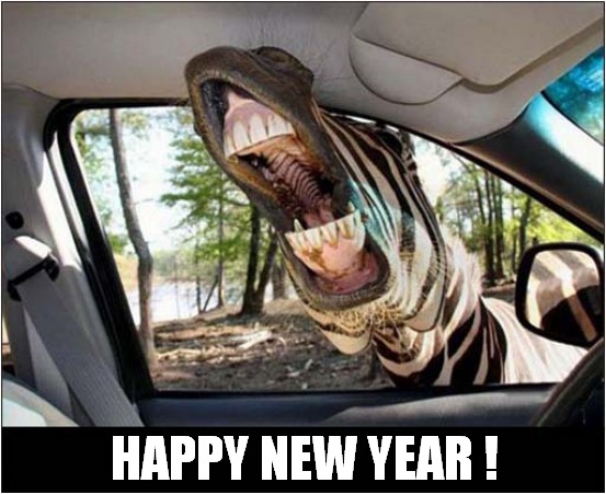 Unexpected Surprises For 2022 ? | HAPPY NEW YEAR ! | image tagged in fun,happy new year,zebra | made w/ Imgflip meme maker