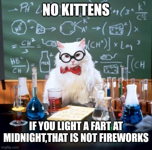 Chemistry Cat |  NO KITTENS; IF YOU LIGHT A FART AT MIDNIGHT,THAT IS NOT FIREWORKS | image tagged in memes,chemistry cat | made w/ Imgflip meme maker