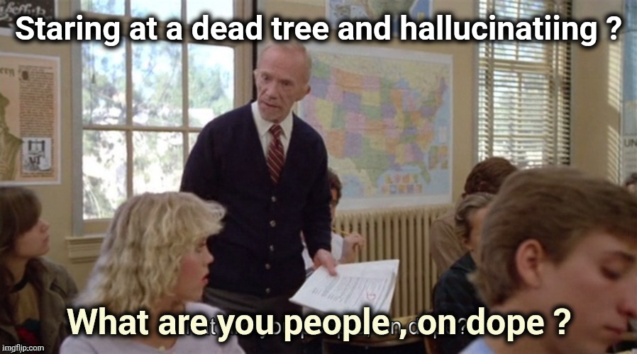 On Dope | Staring at a dead tree and hallucinatiing ? | image tagged in on dope | made w/ Imgflip meme maker