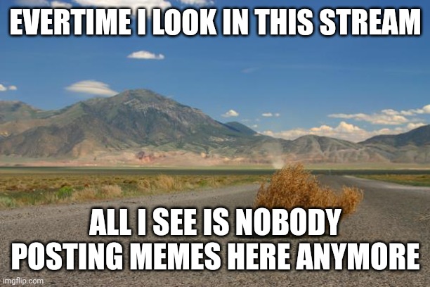 Anyone here? | EVERTIME I LOOK IN THIS STREAM; ALL I SEE IS NOBODY POSTING MEMES HERE ANYMORE | image tagged in tumbleweed,help | made w/ Imgflip meme maker
