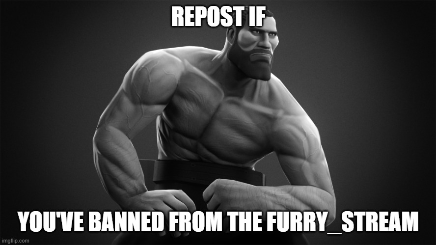 chad | REPOST IF; YOU'VE BANNED FROM THE FURRY_STREAM | image tagged in chad | made w/ Imgflip meme maker