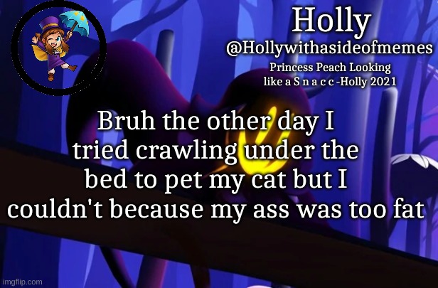 Holly Snatcher Template | Bruh the other day I tried crawling under the bed to pet my cat but I couldn't because my ass was too fat | image tagged in holly snatcher template | made w/ Imgflip meme maker