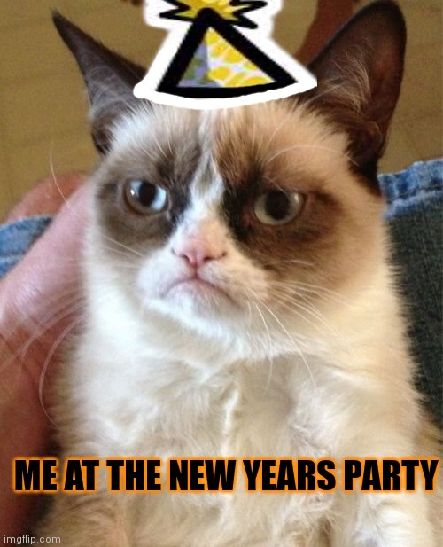 Merry dang new years | ME AT THE NEW YEARS PARTY | image tagged in memes,grumpy cat,happy new year,party time,countdown | made w/ Imgflip meme maker