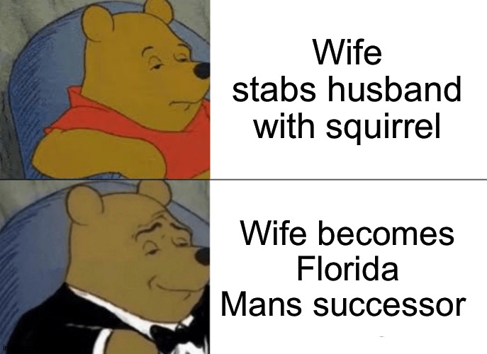 Tuxedo Winnie The Pooh Meme | Wife stabs husband with squirrel Wife becomes Florida Mans successor | image tagged in memes,tuxedo winnie the pooh | made w/ Imgflip meme maker