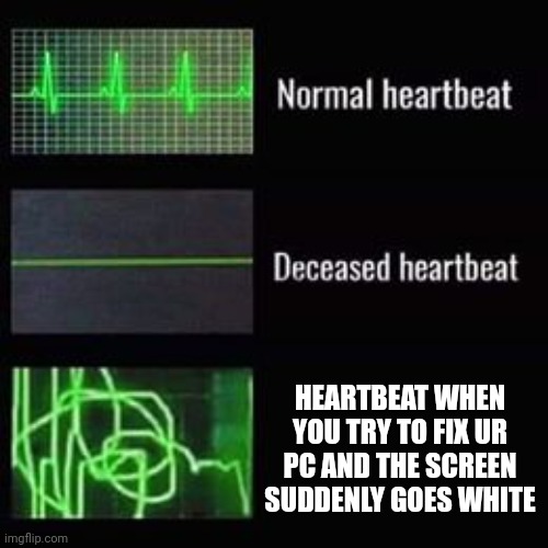 heartbeat rate | HEARTBEAT WHEN YOU TRY TO FIX UR PC AND THE SCREEN SUDDENLY GOES WHITE | image tagged in heartbeat rate | made w/ Imgflip meme maker