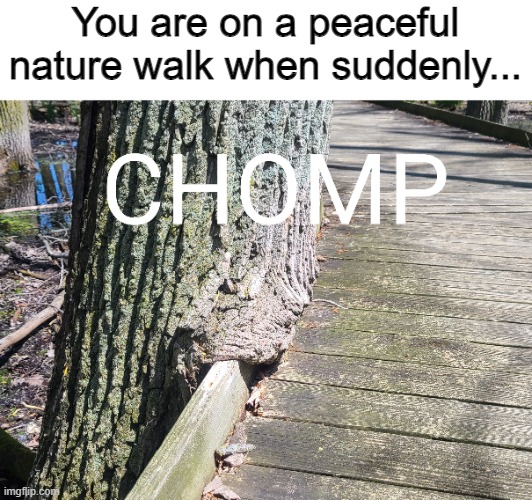 Nature is scary | You are on a peaceful nature walk when suddenly... | image tagged in nature,tree,funny,scary,eating | made w/ Imgflip meme maker