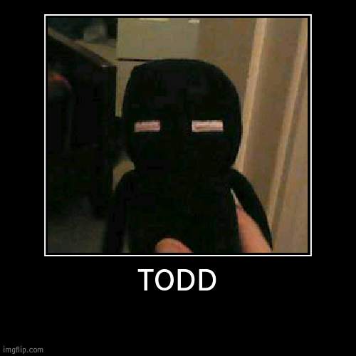 Todd | image tagged in funny,demotivationals | made w/ Imgflip demotivational maker