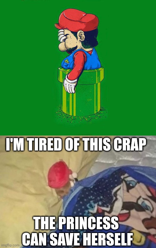 MARIO HAD ENOUGH |  I'M TIRED OF THIS CRAP; THE PRINCESS
 CAN SAVE HERSELF | image tagged in super mario bros,super mario,princess peach | made w/ Imgflip meme maker