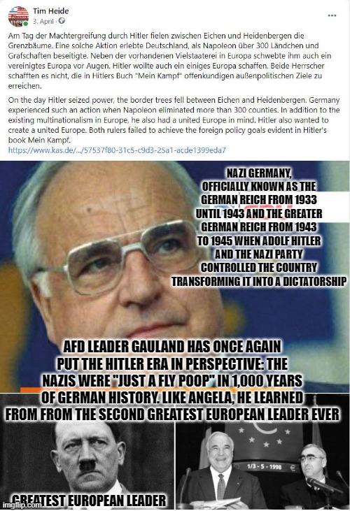 NAZI GERMANY, OFFICIALLY KNOWN AS THE GERMAN REICH FROM 1933 UNTIL 1943 AND THE GREATER GERMAN REICH FROM 1943 TO 1945 WHEN ADOLF HITLER AND THE NAZI PARTY CONTROLLED THE COUNTRY TRANSFORMING IT INTO A DICTATORSHIP; AFD LEADER GAULAND HAS ONCE AGAIN PUT THE HITLER ERA IN PERSPECTIVE: THE NAZIS WERE "JUST A FLY POOP" IN 1,000 YEARS OF GERMAN HISTORY. LIKE ANGELA, HE LEARNED FROM FROM THE SECOND GREATEST EUROPEAN LEADER EVER; GREATEST EUROPEAN LEADER | image tagged in hitler | made w/ Imgflip meme maker
