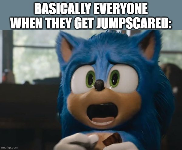 New sonic movie Screaming | BASICALLY EVERYONE WHEN THEY GET JUMPSCARED: | image tagged in new sonic movie screaming | made w/ Imgflip meme maker