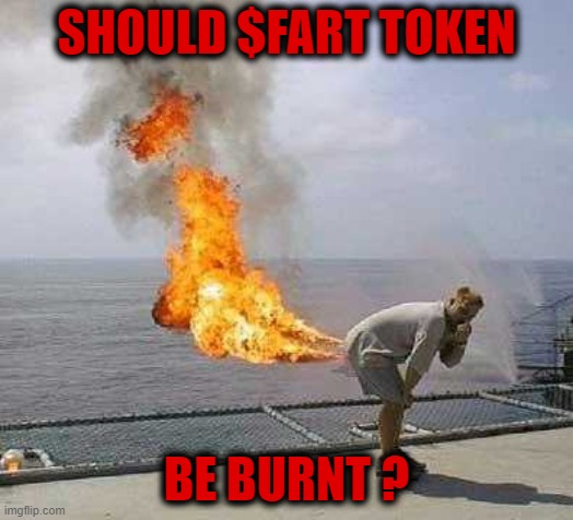 Darti Boy Meme | SHOULD $FART TOKEN; BE BURNT ? | image tagged in memes,darti boy | made w/ Imgflip meme maker