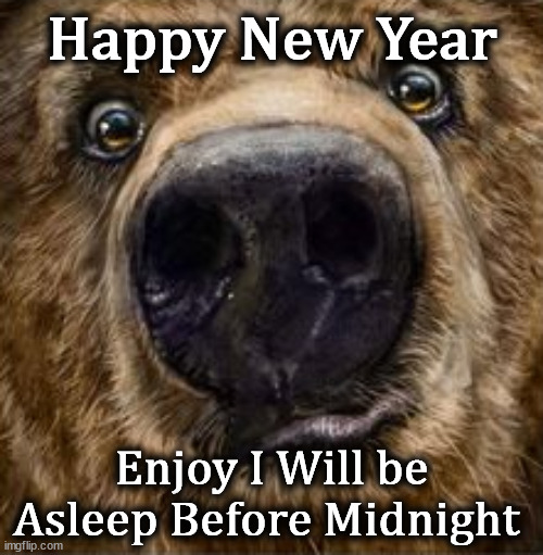 bear | Happy New Year; Enjoy I Will be Asleep Before Midnight | image tagged in bear | made w/ Imgflip meme maker