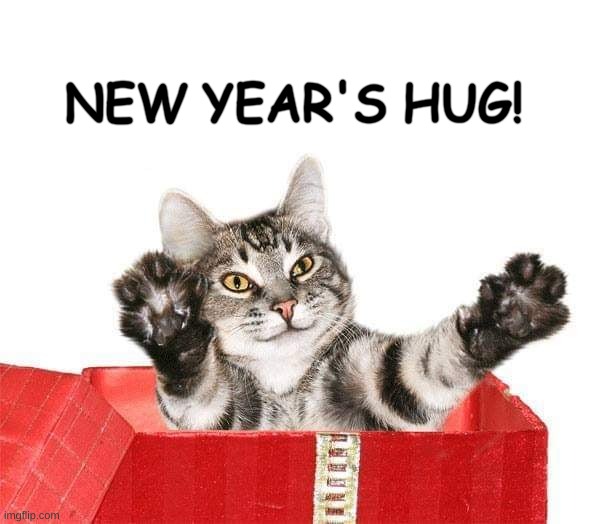 Happy New Year | NEW YEAR'S HUG! | image tagged in happy new year,hug,cat,2022,i love you,what if i told you | made w/ Imgflip meme maker