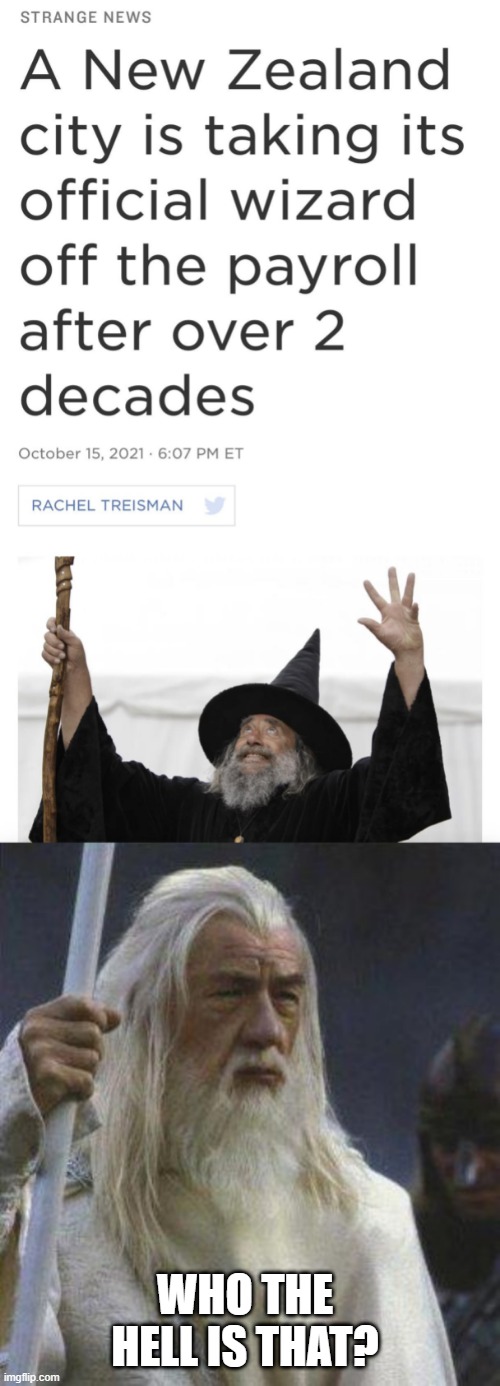 Imposter | WHO THE HELL IS THAT? | image tagged in gandalf | made w/ Imgflip meme maker