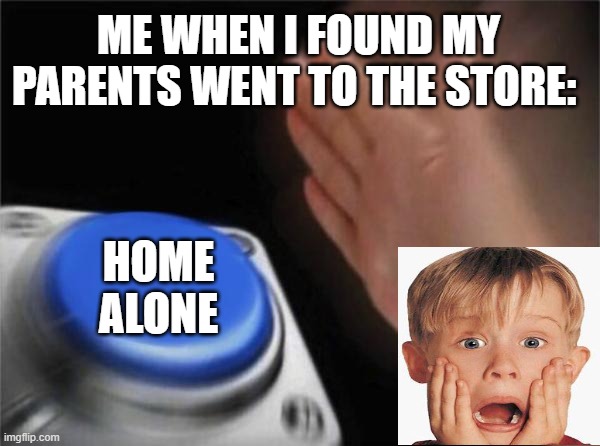 Home Alone 1 2 3 4 5 6 | ME WHEN I FOUND MY PARENTS WENT TO THE STORE:; HOME ALONE | image tagged in memes,blank nut button | made w/ Imgflip meme maker