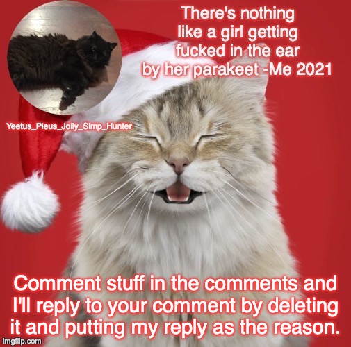 me bored | Comment stuff in the comments and I'll reply to your comment by deleting it and putting my reply as the reason. | image tagged in christmas template | made w/ Imgflip meme maker