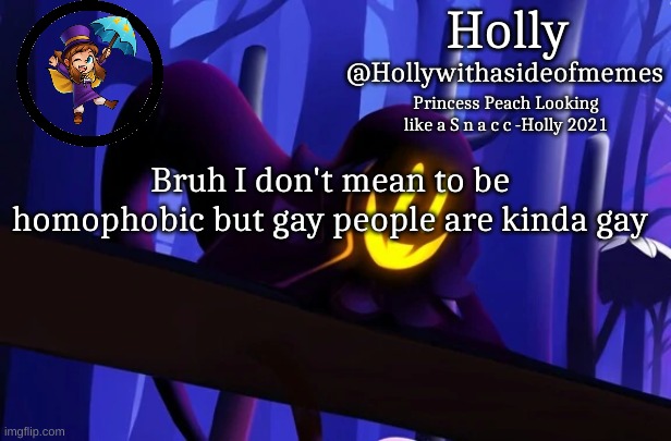 Please don't make this a copypasta | Bruh I don't mean to be homophobic but gay people are kinda gay | image tagged in holly snatcher template | made w/ Imgflip meme maker